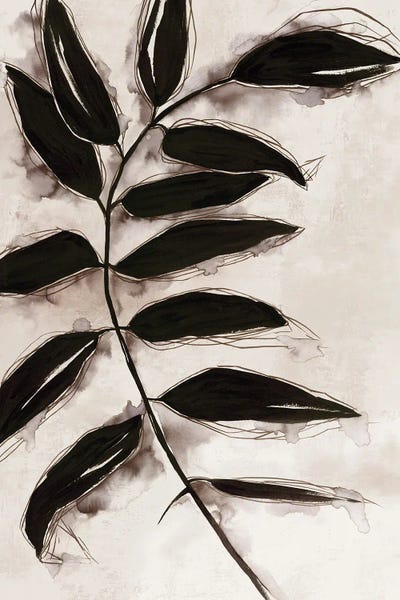 Black & White Florals: Leaves II by Eva Watts