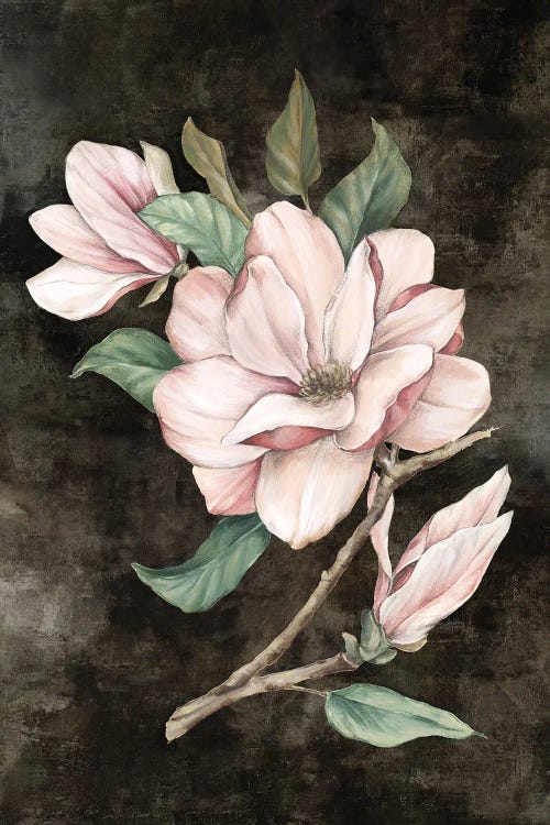 Pink Magnolia I