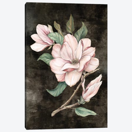 Pink Magnolia I Canvas Print #EWA602} by Eva Watts Canvas Print