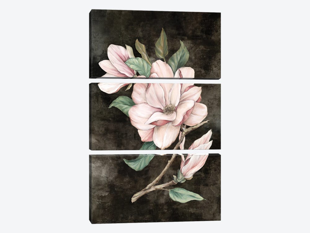 Pink Magnolia I by Eva Watts 3-piece Canvas Print