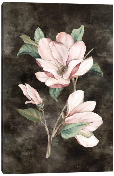 Pink Magnolia II Canvas Art Print - Magnolia Art