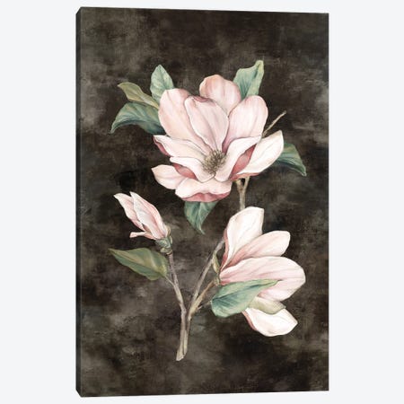 Pink Magnolia II Canvas Print #EWA603} by Eva Watts Canvas Art Print