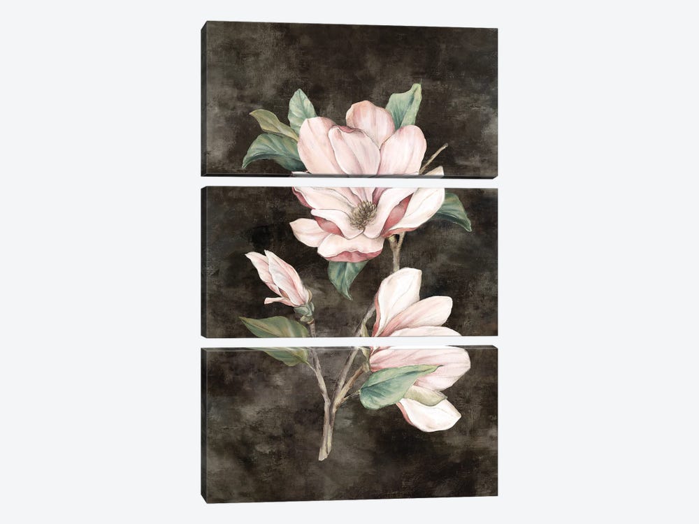 Pink Magnolia II by Eva Watts 3-piece Canvas Artwork
