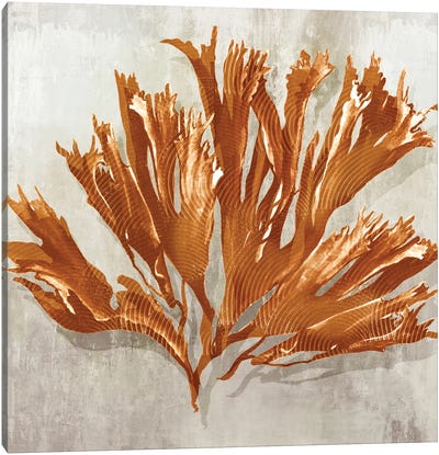 Rustic Coral I Canvas Art Print - Coral Art
