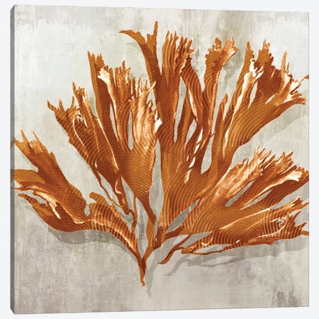Rustic Coral I Canvas Print #EWA607} by Eva Watts Canvas Wall Art