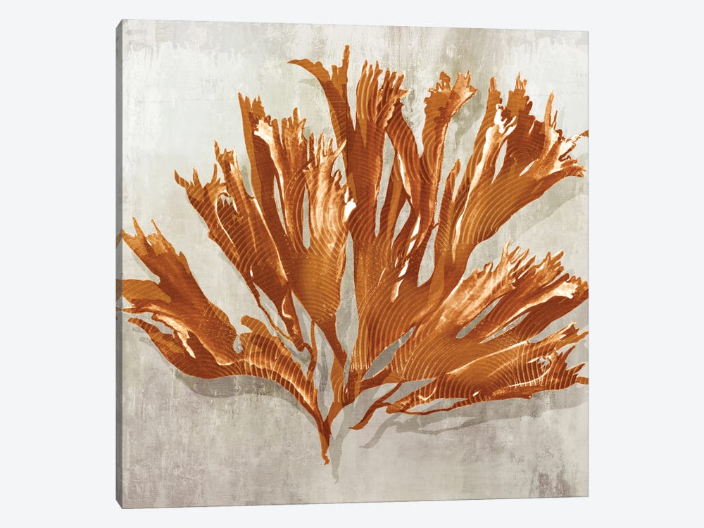 Rustic Coral I by Eva Watts 1-piece Canvas Artwork