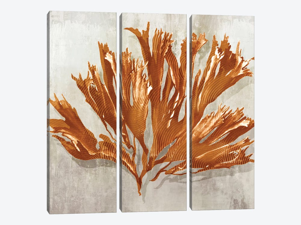 Rustic Coral I by Eva Watts 3-piece Canvas Wall Art