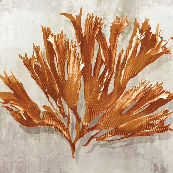 Eva Watts: Rustic Coral I by Eva Watts