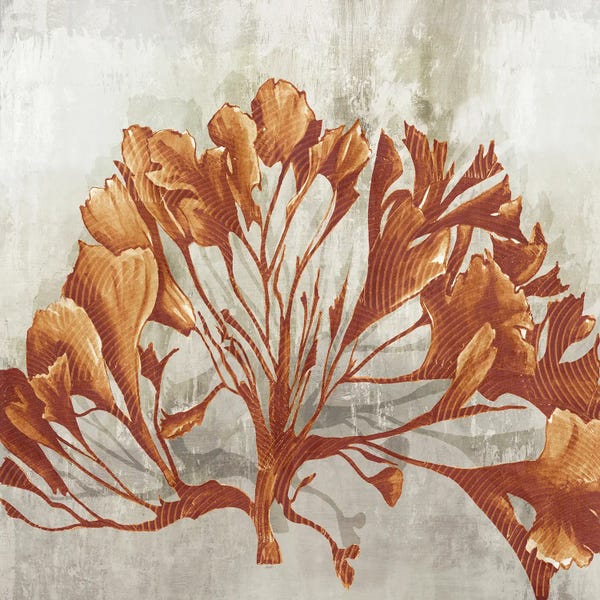 Coral: Rustic Coral II by Eva Watts