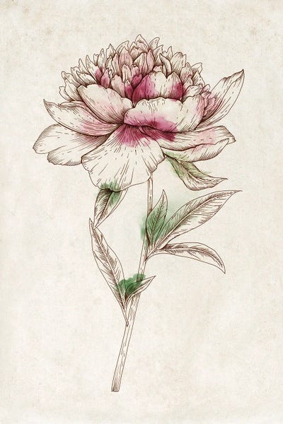 Minimalist Bohemian Decor: Sophistication I by Eva Watts