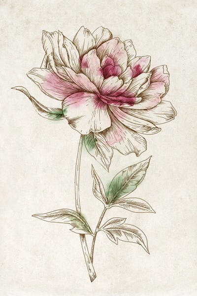 Minimalist Bohemian Decor: Sophistication II by Eva Watts