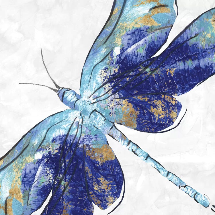 Blue Dragonfly  by Eva Watts wall art