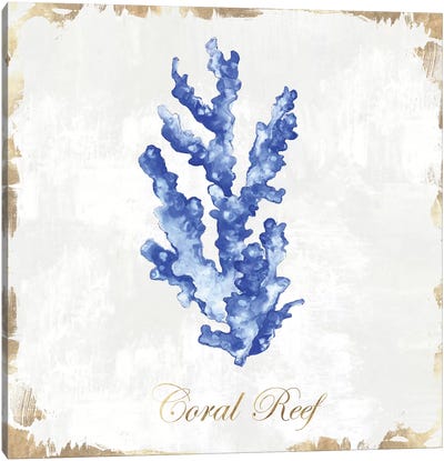 Blue Sea Coral  Canvas Art Print - Eva Watts