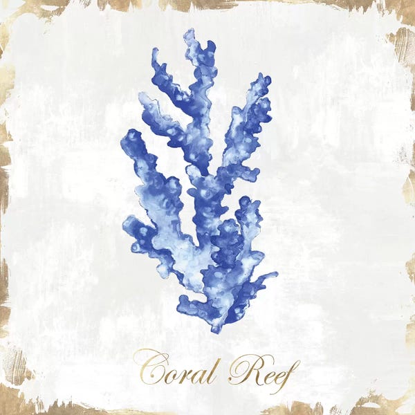 Coral: Blue Sea Coral  by Eva Watts