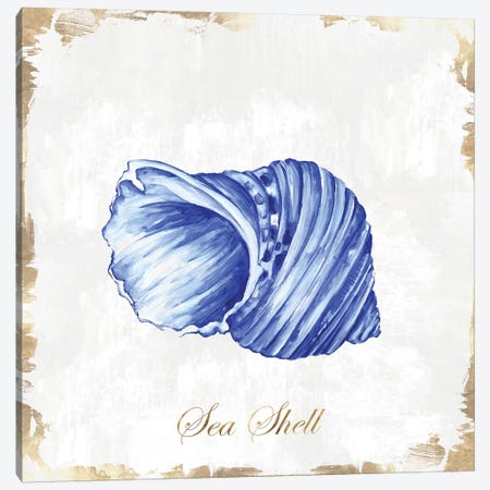 Blue Seashell Canvas Print #EWA88} by Eva Watts Canvas Artwork