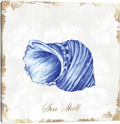 Blue Seashell Canvas Art Print - Sea Shell Art