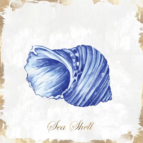Eva Watts: Blue Seashell by Eva Watts