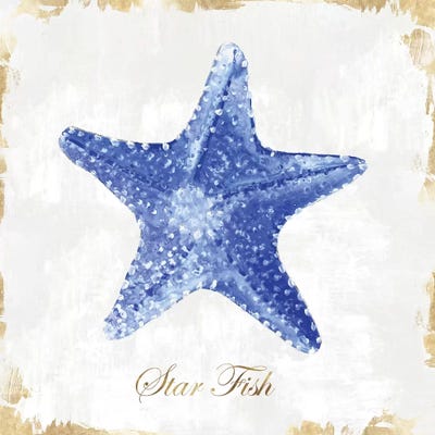 Blue Starfish  by Eva Watts multi panel art