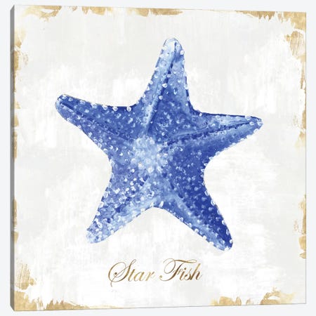 Blue Starfish  Canvas Print #EWA89} by Eva Watts Canvas Art