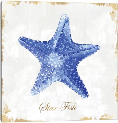 Blue Starfish  Canvas Art Print - Starfish Art