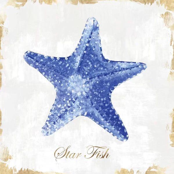 Eva Watts: Blue Starfish  by Eva Watts