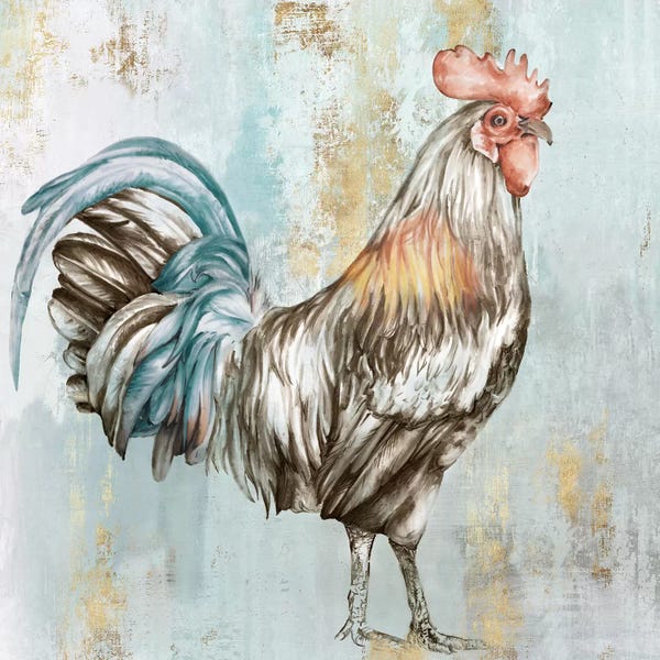 Chickens & Roosters: Crock-A-Doodle-Do I  by Eva Watts