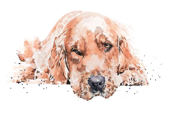 EdsWatercolours: Golden Retriever Reclined I by EdsWatercolours