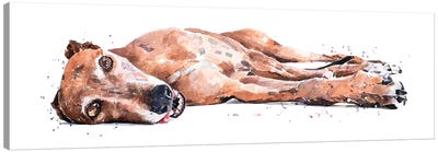 Greyhound Canvas Art Print - EdsWatercolours