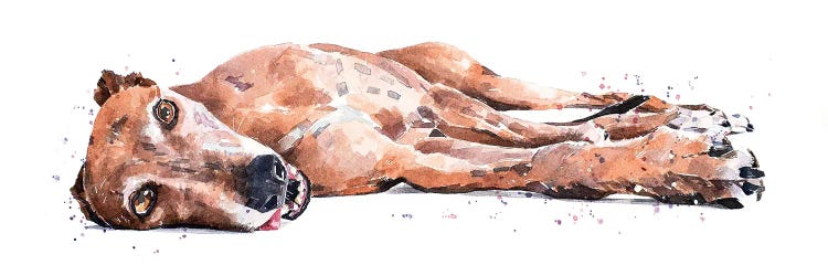 Greyhound by EdsWatercolours wall art