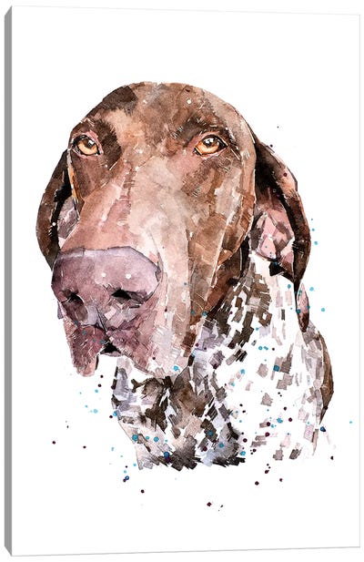 GSP I Canvas Art Print - German Shorthaired Pointers
