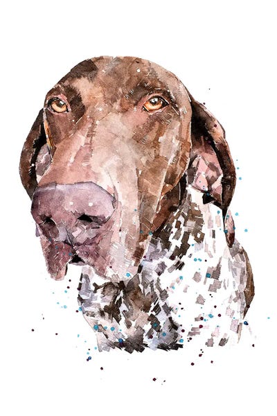German Shorthaired Pointers: GSP I by EdsWatercolours