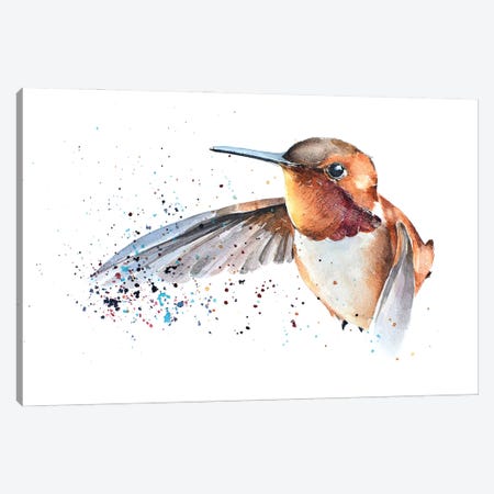 Humming Bird Canvas Print #EWC114} by EdsWatercolours Canvas Art Print