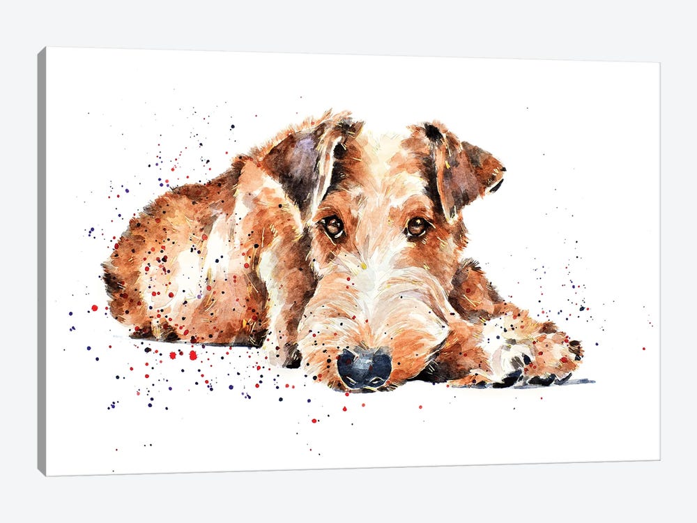 Irish Terrier I by EdsWatercolours 1-piece Art Print