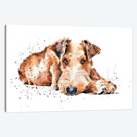 Irish Terrier I Canvas Print #EWC118} by EdsWatercolours Canvas Wall Art