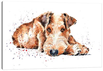 Irish Terrier I Canvas Art Print - EdsWatercolours