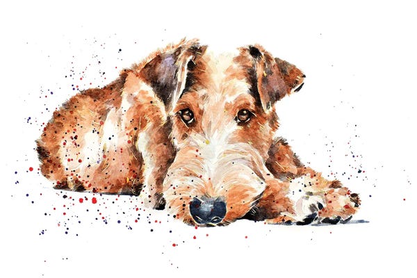 Irish Terriers
