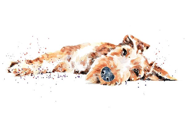 Terriers: Irish Terrier II by EdsWatercolours