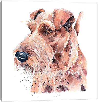 Irish Terrier Pride Canvas Art Print