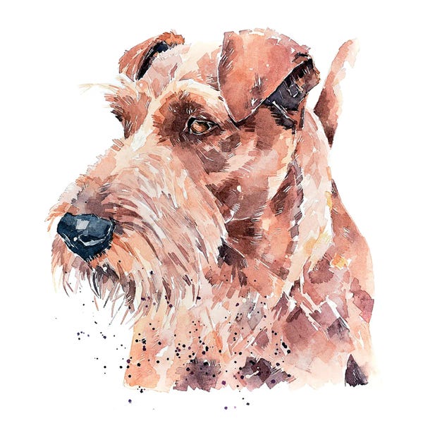 EdsWatercolours: Irish Terrier Pride by EdsWatercolours