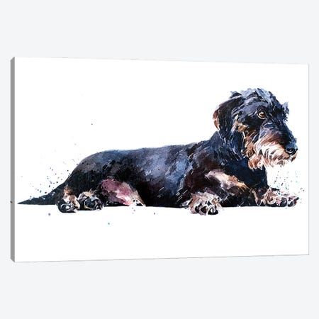 Keep Calm And Relax The Wirehaired Dachshund Way Canvas Print #EWC123} by EdsWatercolours Canvas Art Print