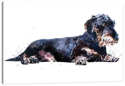 Keep Calm And Relax The Wirehaired Dachshund Way Canvas Art Print - EdsWatercolours
