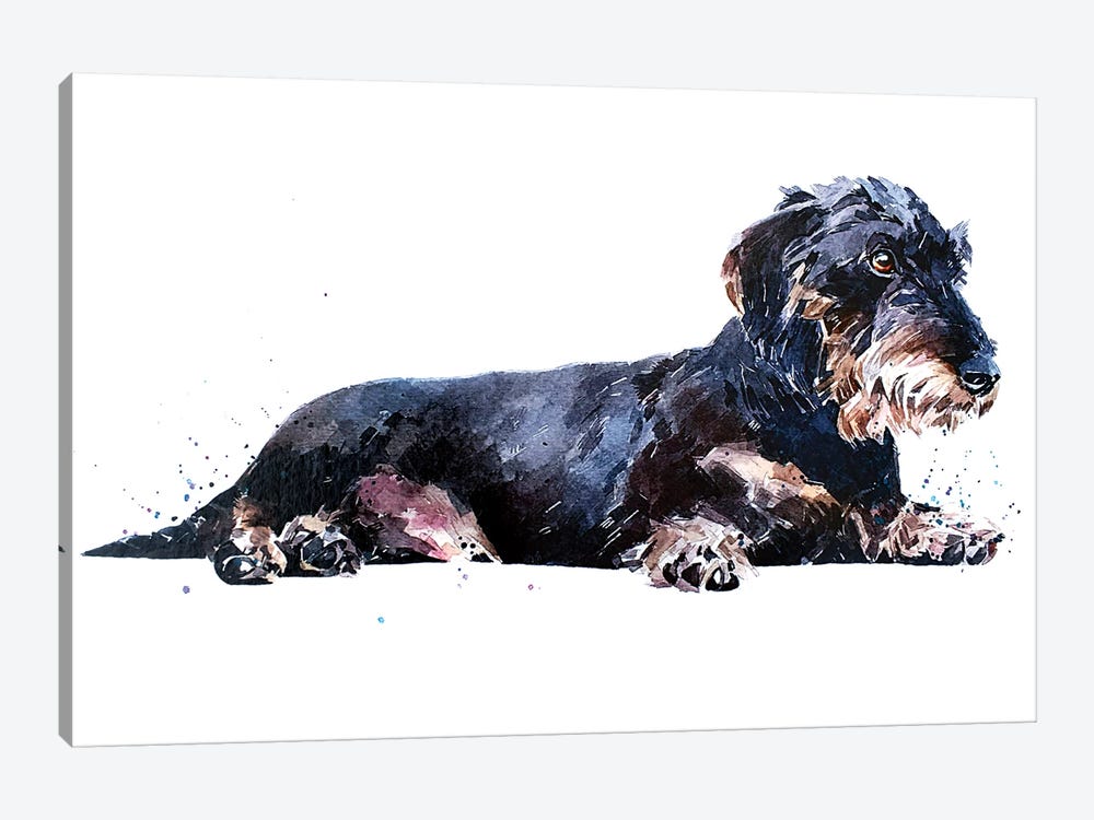 Keep Calm And Relax The Wirehaired Dachshund Way by EdsWatercolours 1-piece Art Print