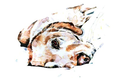 Labrador Relaxation by EdsWatercolours framed wall art