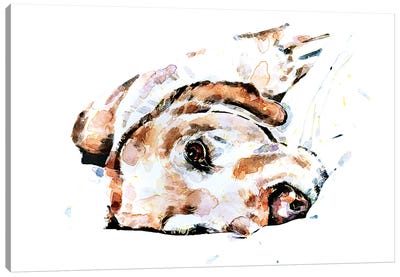 Labrador Relaxation Canvas Art Print - EdsWatercolours