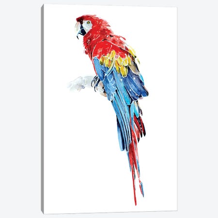 Macaw Canvas Print #EWC133} by EdsWatercolours Canvas Artwork