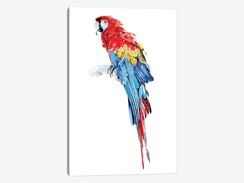 Macaw by EdsWatercolours 1-piece Canvas Art