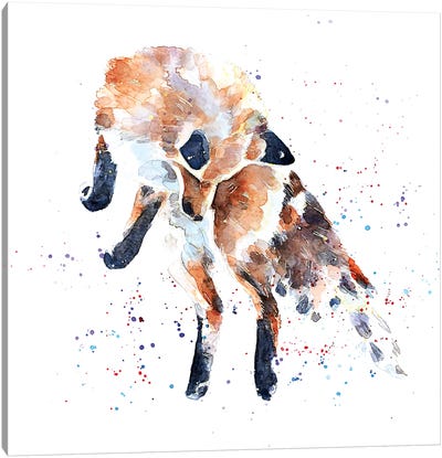 Mousing Fox I Canvas Art Print - Fox Art