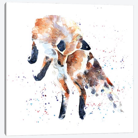 Mousing Fox I Canvas Print #EWC138} by EdsWatercolours Canvas Art