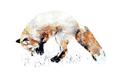 Mousing Fox II by EdsWatercolours canvas print