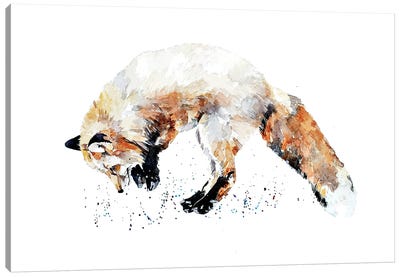 Mousing Fox II Canvas Art Print - EdsWatercolours